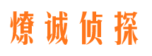 遂川资产调查